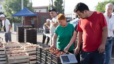 Очередная сельскохозяйственная ярмарка пройдёт в Астане в ближайшие выходные