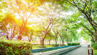 Спад жары прогнозируют во многих регионах Казахстана