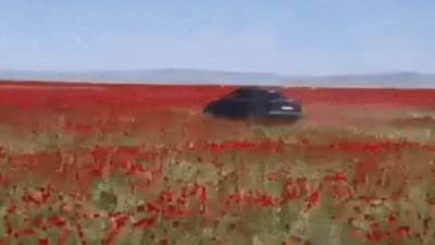 Водителя BMW накажут за дрифт на маковом поле в Жетысу