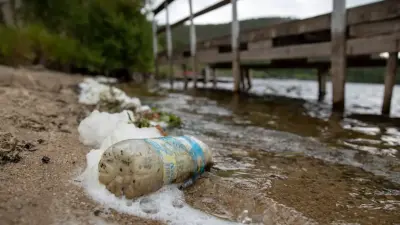 Перед новым туристическим сезоном на Алаколе увеличат количество туалетов и мусорных баков 