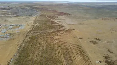 Вокруг радиоактивного хранилища "Кошкар-Ата" высадят миллион саженцев саксаула