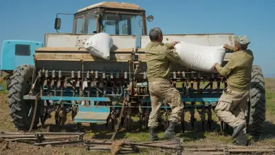 Минсельхоз Казахстана выделил квоту на тысячу мигрантов для строительства в сёлах