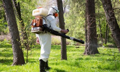 В Алматы началась обработка парков и скверов от клещей