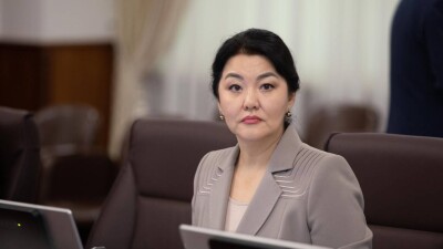 Почему Ажар Гиният отправили в отставку, объяснила вице-премьер