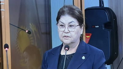 Я говорила Салтанат, что надо быть умной, неконфликтной – мать Бишимбаева