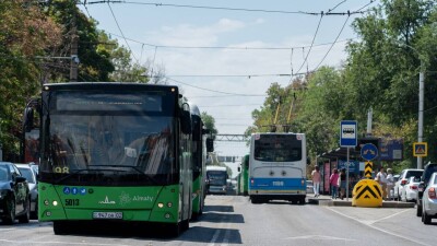 Сбивший пешехода водитель автобуса в Алматы ездил с поддельными правами
