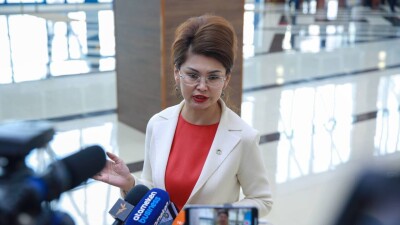 Балаева: Со свободой слова у нас всё нормально