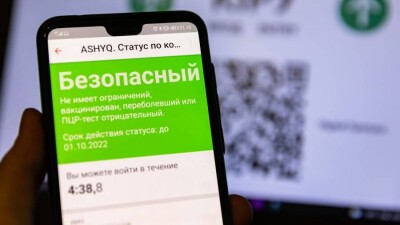 Есмагамбетова о закрытии ТРЦ для "синего" статуса: Лучше работать с ограничениями, чем не работать совсем
