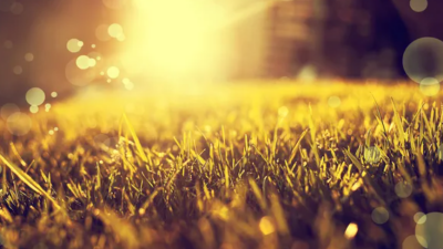 Потепление до +28 градусов ожидается на юге Казахстана