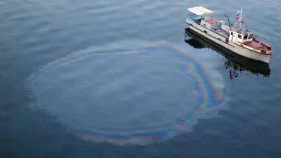 "Можно спутать с тенью от облаков". В Минэкологии отреагировали на данные о нефтяных пятнах на Каспии