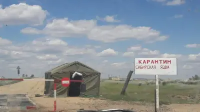 Два села в Казахстане закрыли на карантин из-за сибирской язвы