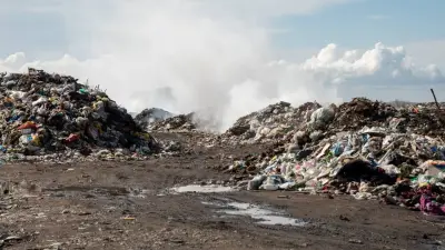 Деятельность предприятия приостановили в Жамбылской области за нарушения экологических норм