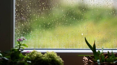 Дожди и грозы ожидаются на выходных в Казахстане