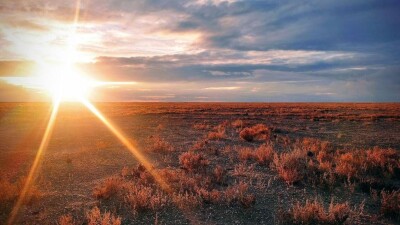 Пустынные экосистемы Алтын-Эмеля и Барсакельмеса включили в список всемирного наследия ЮНЕСКО