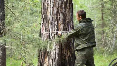 Сотрудники с поддельными дипломами более 10 лет трудились в нацпарке Абайской области 
