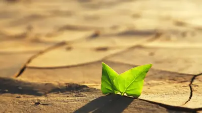 Токаев призвал использовать авторитет религии для защиты климата