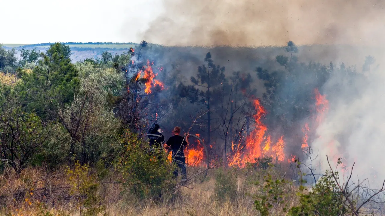 Фото Depositphotos.com