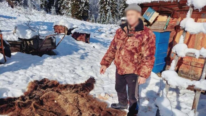 Браконьер убил и съел медведя в ВКО