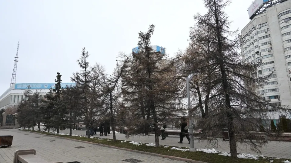 Фото акимата Алматы 