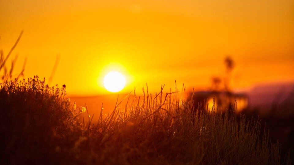 depositphotos