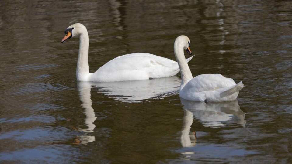 depositphotos