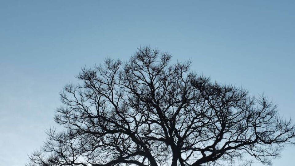 Depositphotos
