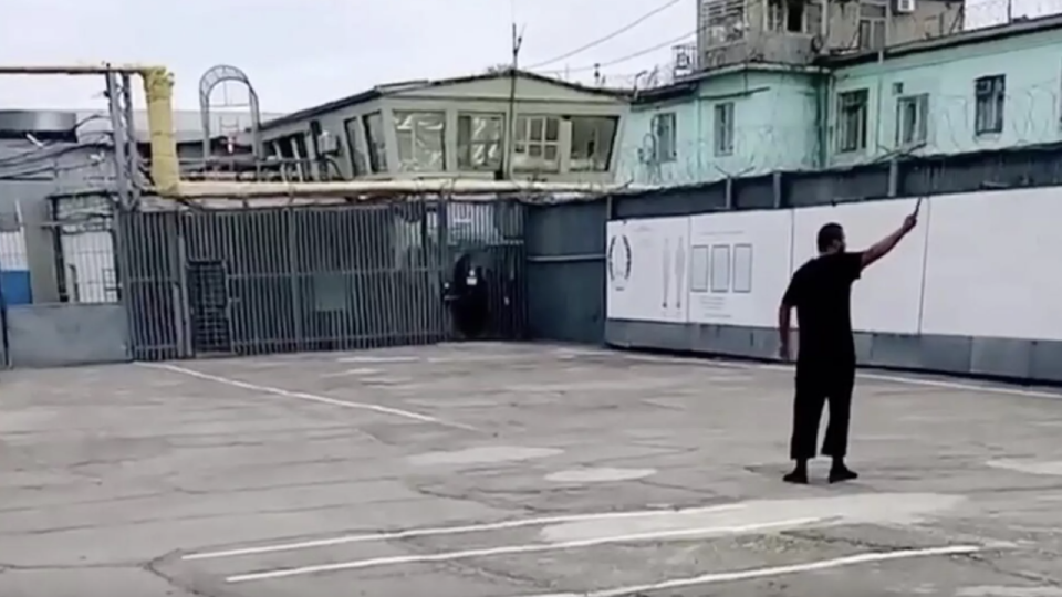 кадр из видео