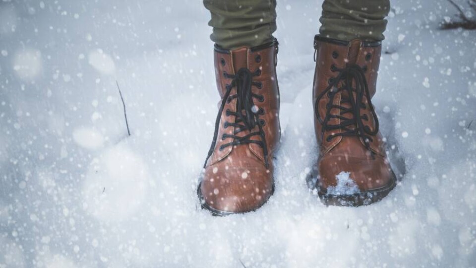 Depositphotos