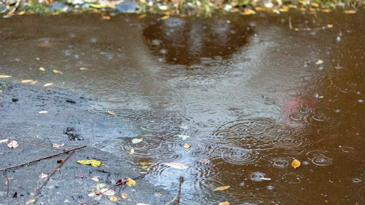 Фото Informburo.kz