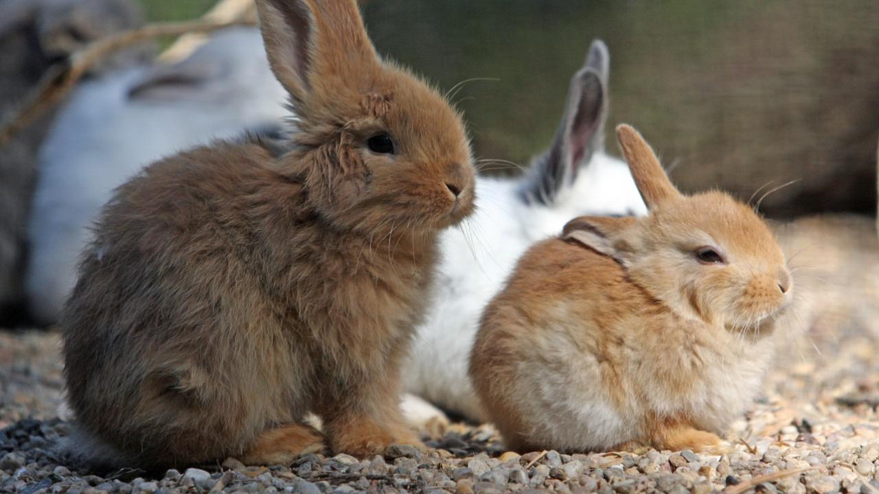 Фото Depositphotos.com