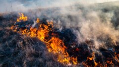 60 могил пострадали при пожаре в районе Кенсая