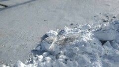 Замакима Уральска о выбросах цементной пыли: Это отсутствие профессионализма, в том числе и нашего