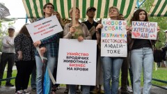 Казахстанцы не сдаются! Как защита прав животных превратилась в борьбу за права людей