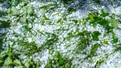 На юге страны ожидаются дождь и град, а на севере – похолодание