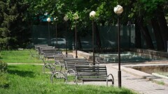 Содержание парков в Алматы намерены передадать единому оператору – Eco Almaty