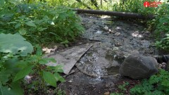 Большую Алматинку загрязняют канализационные стоки. В акимате отрицают проблему