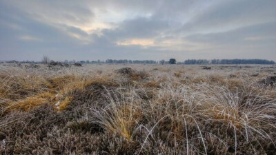 Прогноз погоды на 16-18 августа: На всей территории Казахстана похолодает