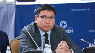 "Аким вам что, Петрушка?" Алматинский застройщик игнорирует суд и акимат