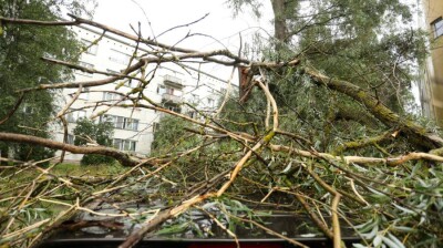 В Петропавловске ветер срывает крыши домов и ломает деревья