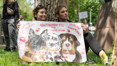 Против жестокости и беззакония. В Алматы прошёл митинг в защиту животных
