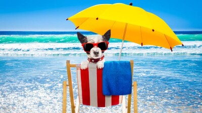 Прогноз погоды: До +35 поднимется температура на севере Казахстана