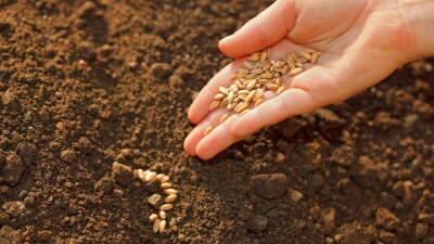 В одном из регионов Казахстана не хватает влаги на полях перед посевной – Казгидромет