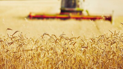 Кредиты станут доступнее. В МСХ рассказали об изменениях для фермеров