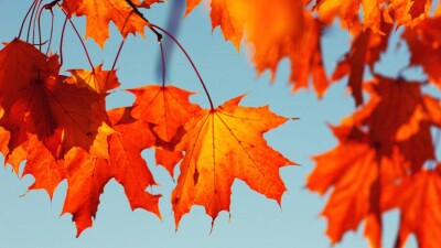 Бабье лето продолжается: почти по всей территории Казахстана сохранится тёплая погода