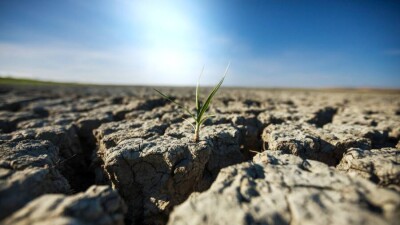 В каких регионах Казахстана в мае ожидается засуха