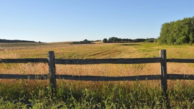 55% участников опроса Informburo.kz выступили за мораторий на получение 10 соток в мегаполисах