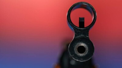 В Алматы неизвестный отстреливает домашних животных. Полиция два месяца не может его найти