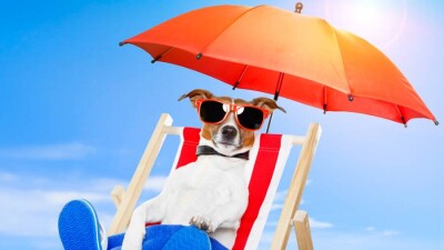 Синоптики прогнозируют жару в северных и центральных регионах Казахстана