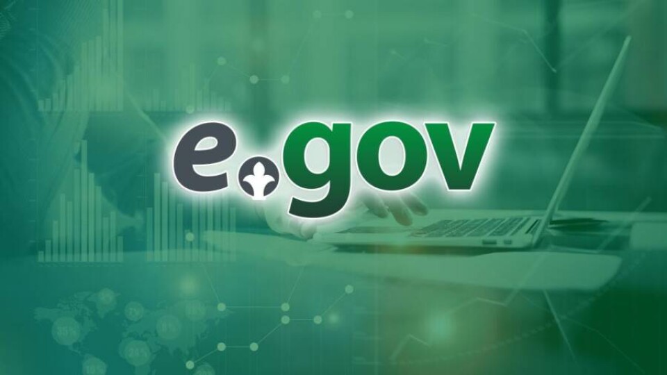 Казахстанцы стали реже пользоваться услугами eGov