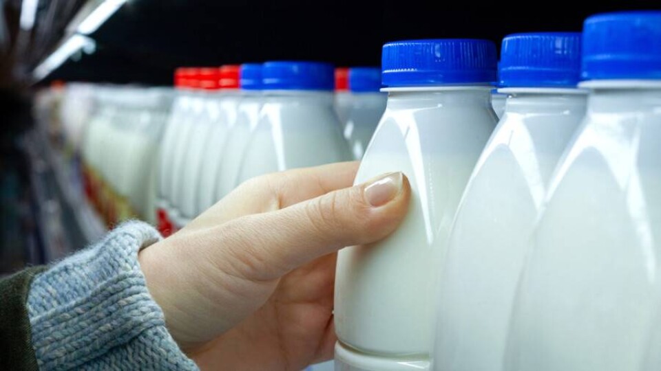 В Казахстане планируют создать белорусский продуктовый хаб для совместного экспорта